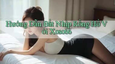 hướng dẫn bắt nhịp rồng hổ với xoso66