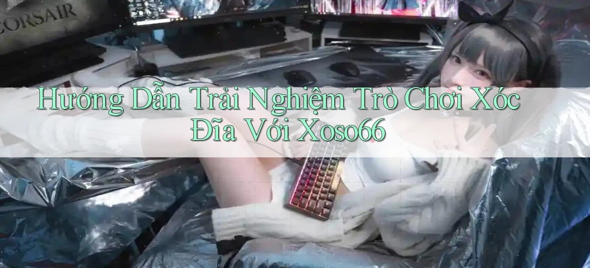 hướng dẫn trải nghiệm trò chơi xóc đĩa với xoso66