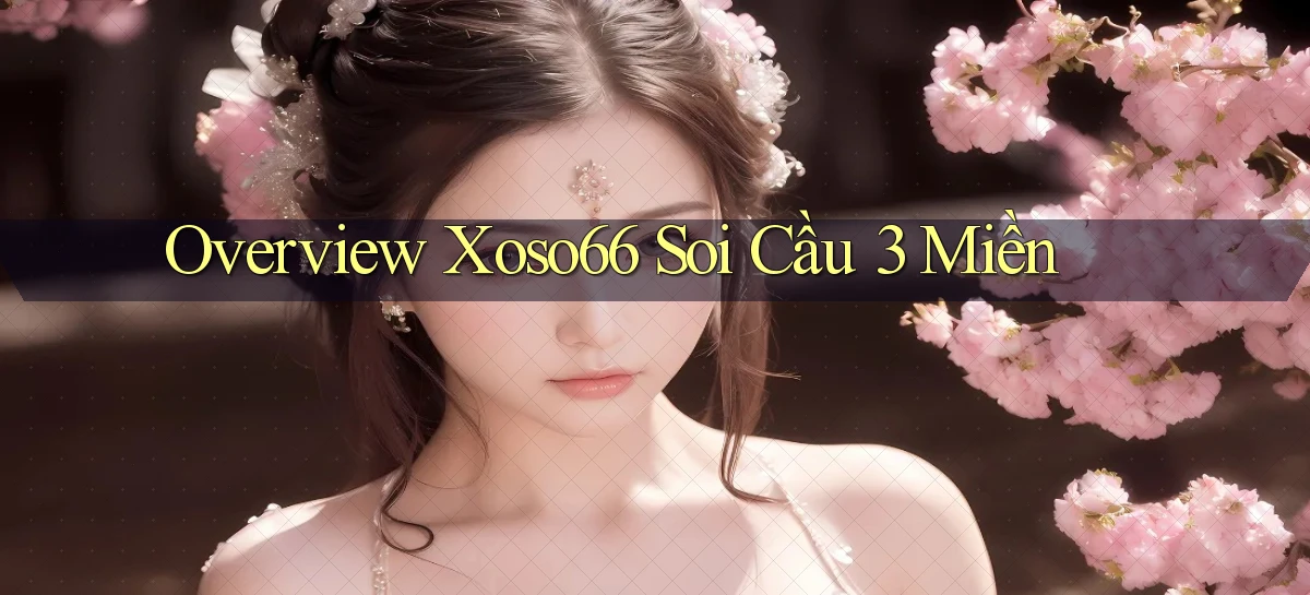 overview xoso66 soi cầu 3 miền