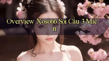 overview xoso66 soi cầu 3 miền