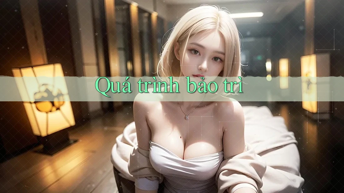 Quá trình bảo trì