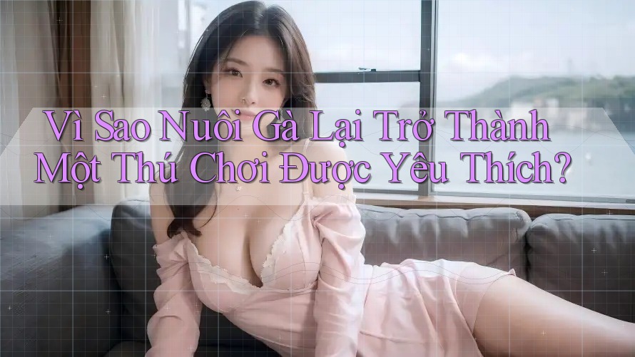 Vì Sao Nuôi Gà Lại Trở Thành Một Thú Chơi Được Yêu Thích? Vì Sao Nuôi Gà Lại Trở Thành Một Thú Chơi Được Yêu Thích?