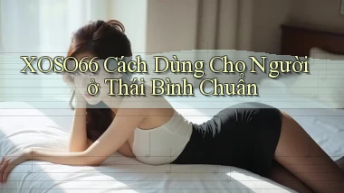 xoso66 cách dùng cho người ở Thái Bình chuẩn