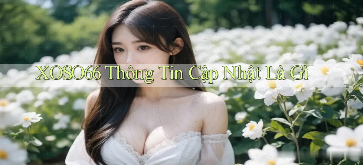 xoso66 thông tin cập nhật là gì