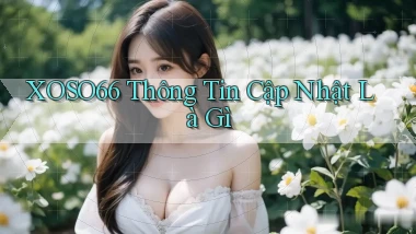 xoso66 thông tin cập nhật là gì